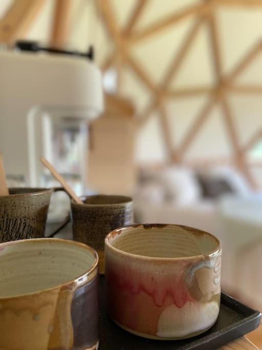Dome Insolite Lichen Jacuzzi Et Petits-Dejeuners Inclus Gondrin Εξωτερικό φωτογραφία