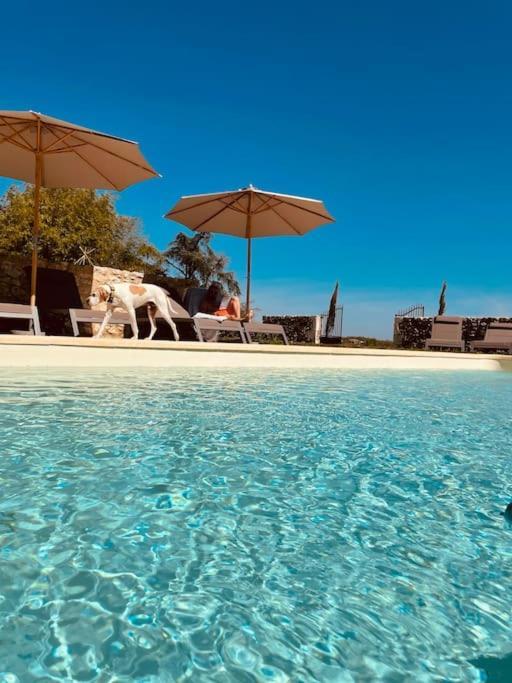 Dome Insolite Lichen Jacuzzi Et Petits-Dejeuners Inclus Gondrin Εξωτερικό φωτογραφία